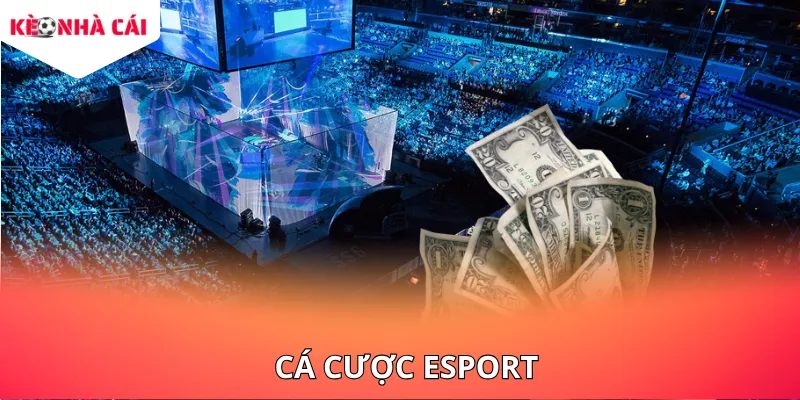 Cá Cược Esport