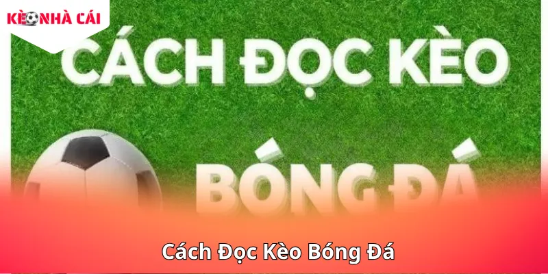 Cách Đọc Kèo Bóng Đá - Hướng Dẫn Chi Tiết Cho Người Mới Bắt Đầu Từ A Đến Z
