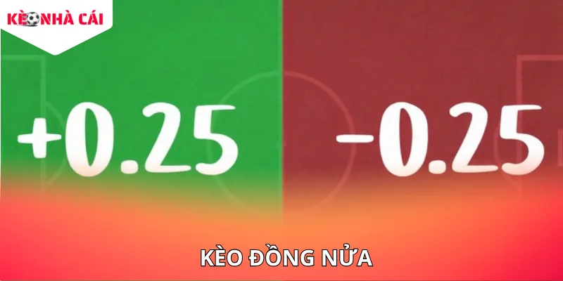 Tìm hiểu chi tiết về kèo đồng nửa