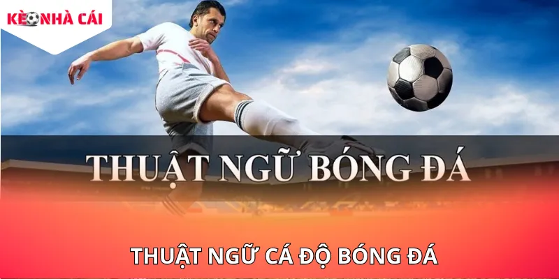 Tìm hiểu các thuật ngữ khi cá cược bóng đá
