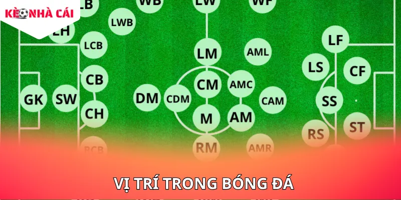 Các Vị Trí Trong Bóng Đá Và Nhiệm Vụ Chiến Thuật